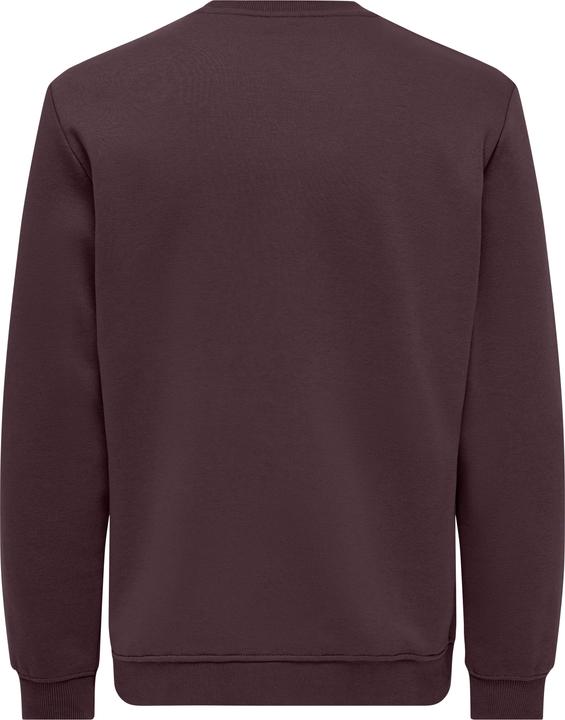 Image du produit Only & Sons Onsconnor Reg Crew Neck Sweat Noos (XS)