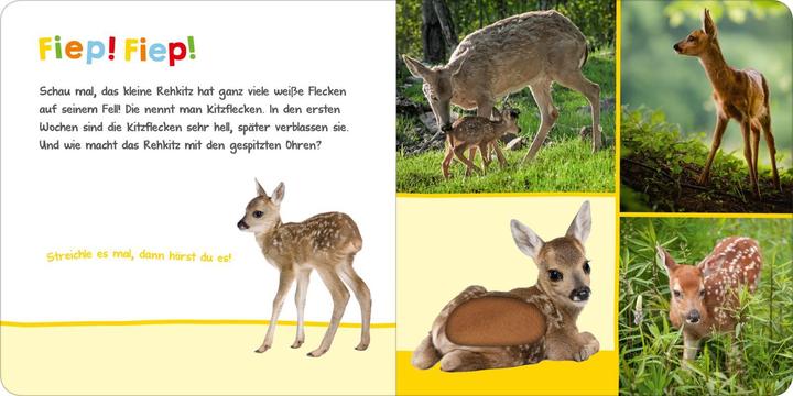 Immagine prodotto Hör mal rein, wer kann das sein? - Tierbabys (Tedesco)
