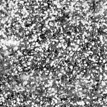Actual product image Pebeo SetaCuir leather colours (silver glitter, 45 ml)