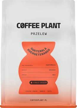 Produktbild Coffee Plant Gwatemala Huehuetenango Filter