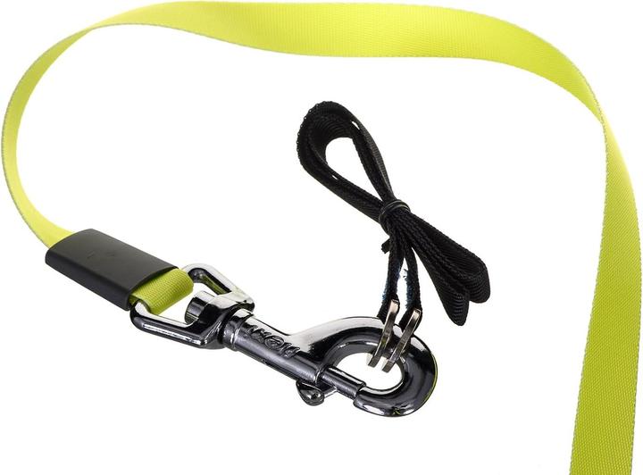 Immagine prodotto Flexi Gigante (L, Cane, Passeggiare, Generale)