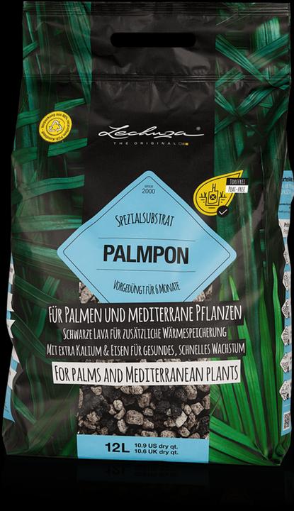 Lechuza Palmpon. (12 l)