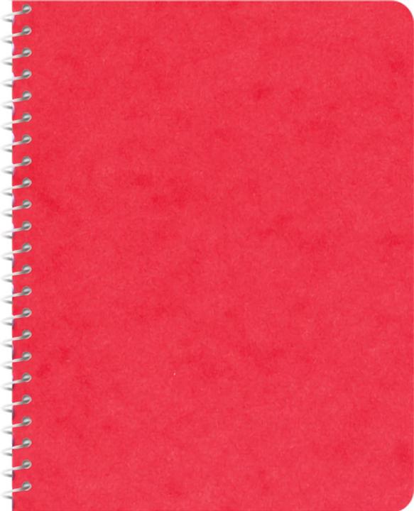 Produktbild Novooo Spiralheft assortiert (91 x 121 mm, Kariert)