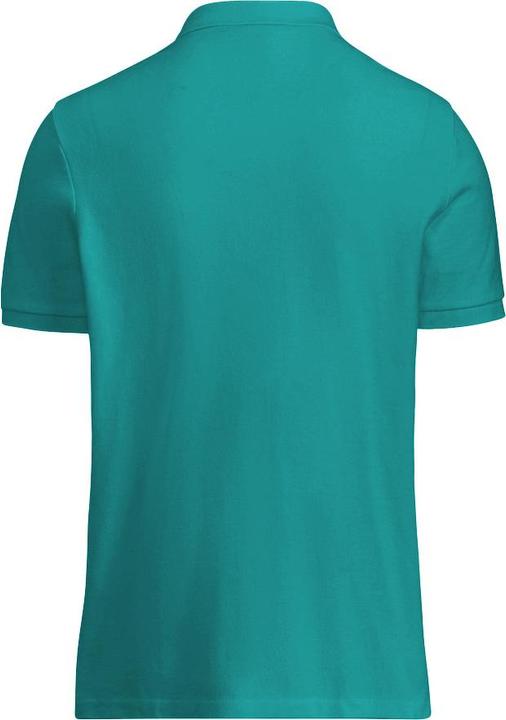 Immagine prodotto Henbury UTRW626 P (3XL)
