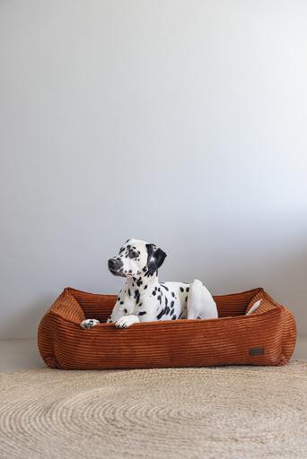 Produktbild Designed by Lotte Ribbed (Hund)