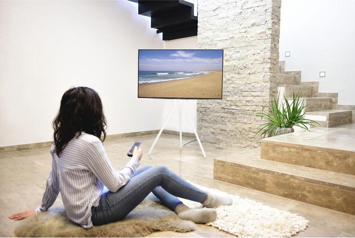Immagine prodotto Hama Supporto TV, cavalletto indipendente, regolabile in altezza, 191 cm (75") fino a 40 kg (75", 40 kg)