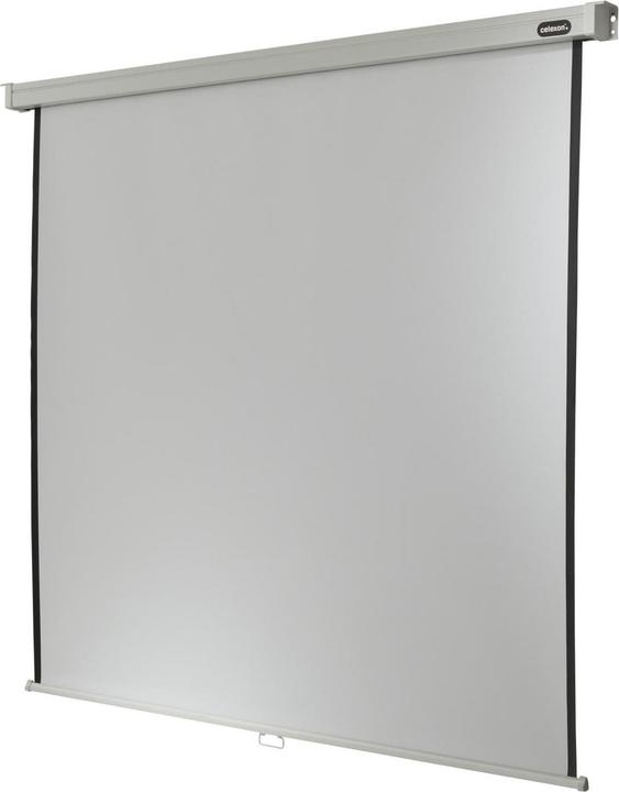 Actual product image Celexon Rollo Professional, Canvas, 1:1 (150.39", 1:1)