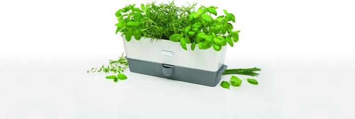 Produktbild Cole & Mason Kräutertopf
