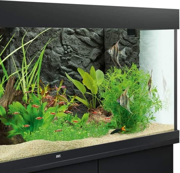 Actual product image Juwel Aquarium Stone Granites (Rear panel, other items)