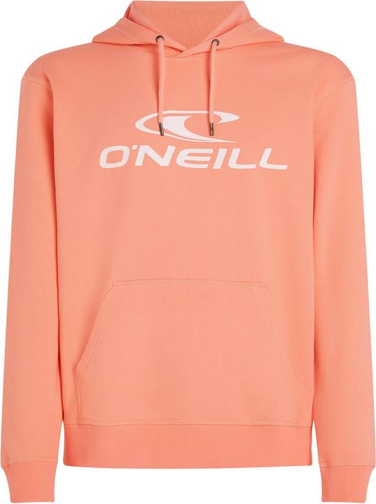 Produktbild O'Neill Logo Hoodie (S)