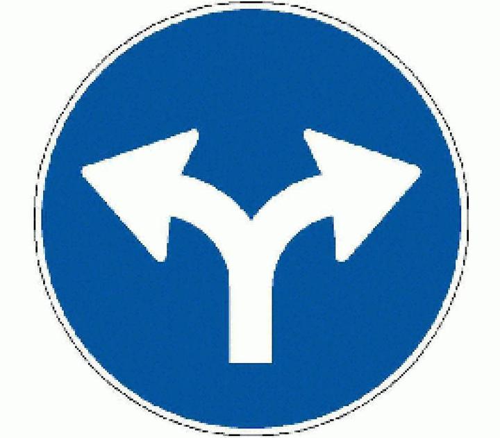 Actual product image BRW Turn left or right sign 2.39