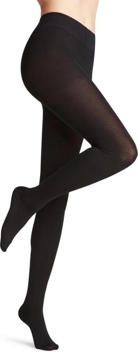 Falke Family
