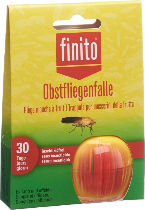 Actual product image Finito Fruit fly trap