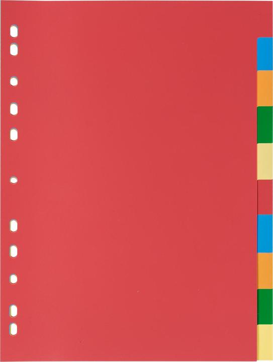 Image du produit Idena Répertoire en plastique A4 10 pièces 120µ