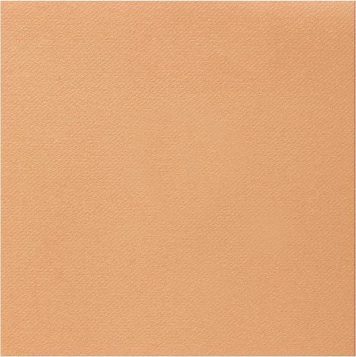Produktbild Santex Airlaid (25 x, 40 x 40 cm)