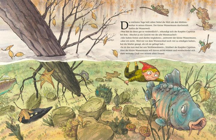 Immagine prodotto Der kleine Wassermann. Herbst im Mühlenweiher (Tedesco, Preusslatore Otfried, Stigloher Regina, Daniel Napp, 2014)