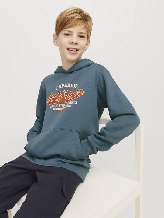 Produktbild Jack & Jones JJELOGO SWEAT HOOD 2 COL 24/25 NOOS JNR (140)