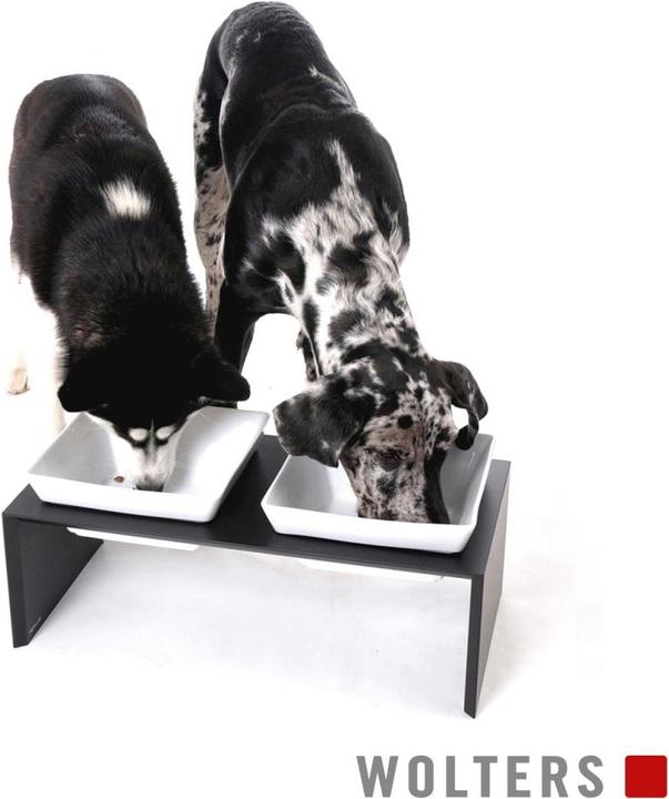 Actual product image Wolters Feeding station Meshidai double dog bowl (2.50 l)