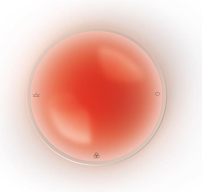 Actual product image Terraillon Dreamer