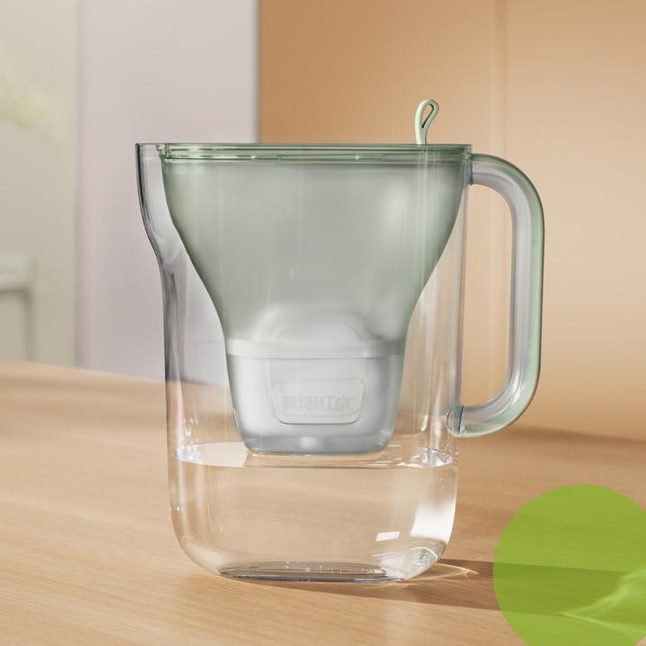 Actual product image Brita Style eco Maxtra Pro