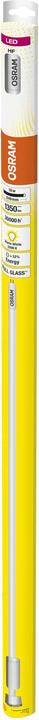 Image du produit Osram Tube à Led (G5, 10 W, 1350 lm, 1 x, E)