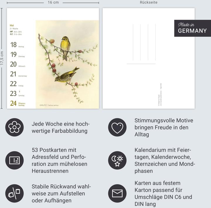 Produktbild Harenberg Vögel Postkartenkalender 2026 - Postkartenkalender mit 53 historischen Zeichnungen (Harter Einband, Deutsch)