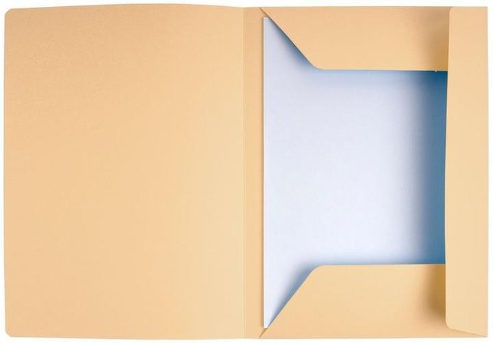 Actual product image Exacompta File folder A4 240g sand (A4, 50 x)