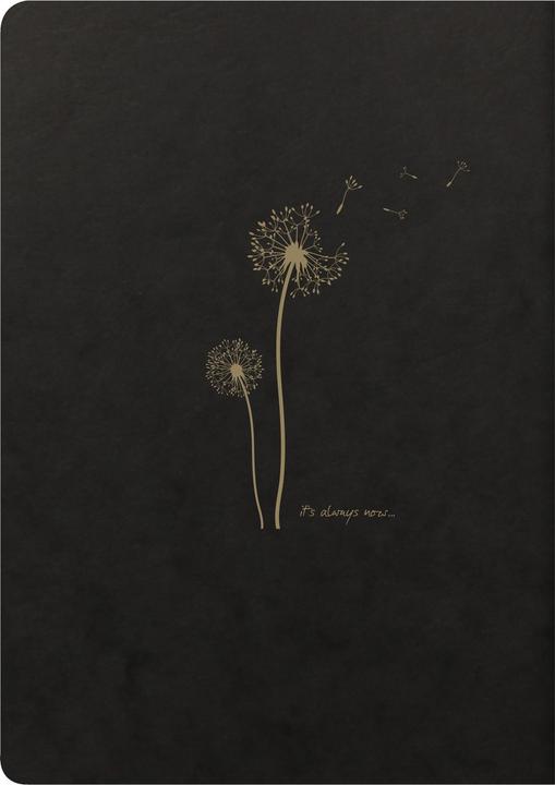 Image du produit Clairefontaine Flying Spirit (A5, Couverture rigide)