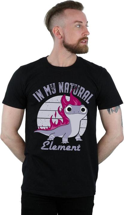 Actual product image Disney Mens Frozen 2 Salamander Bruni Element T-Shirt (3XL)