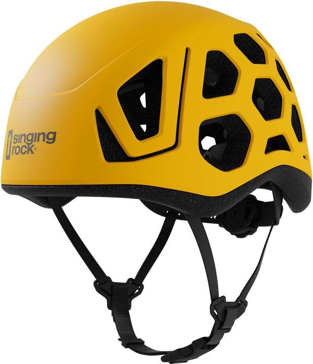 Arnica jaune