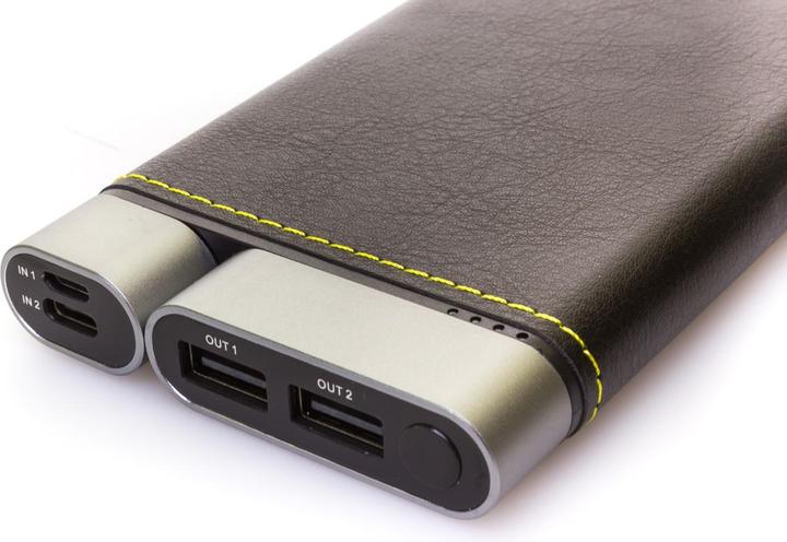 Swaytronic Puridea X01 (10000 mAh, 37 Wh)