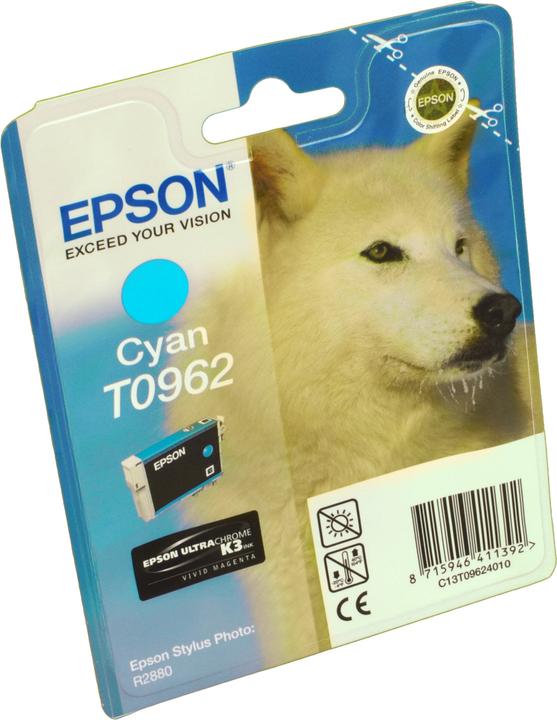 Actual product image Epson T0962 (C)