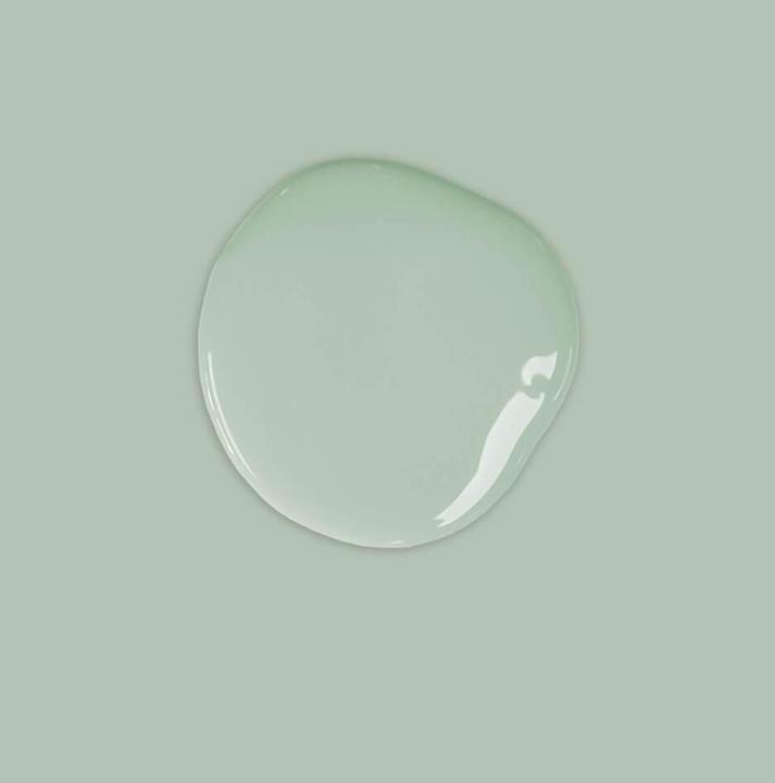 Actual product image Annie Sloan Chalk paint Duck Egg Blue litre (Duck Egg Blue, 1000 ml)