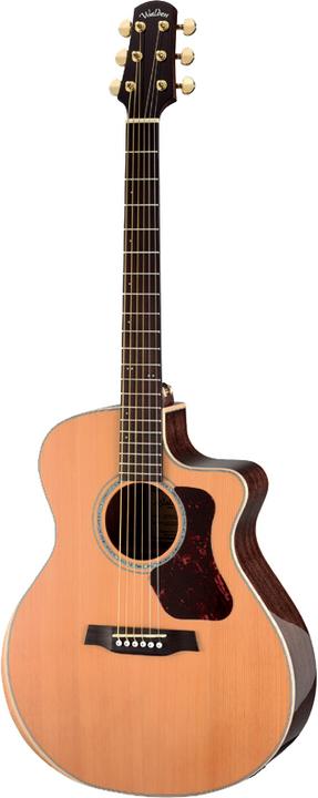 Walden G633RCE-G (Western guitar, Ovangkol (bottom and sides), Rosewood (fingerboard), Red cedar (top), GraphTech NuBone (saddle), Maple (Binding))