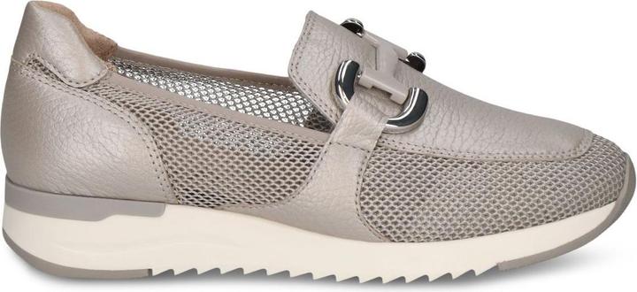 Peigne gris
