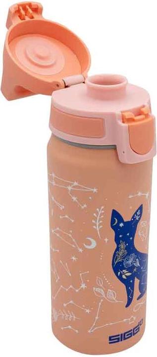 Image du produit Sigg WMB Mon univers (0.60 l)