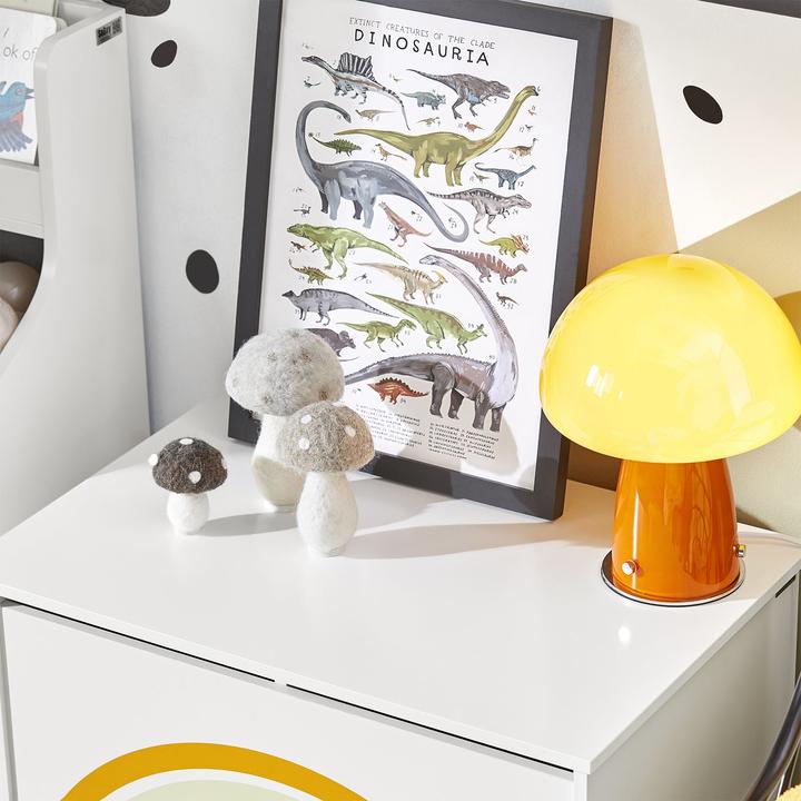 Actual product image SoBuy Toy chest