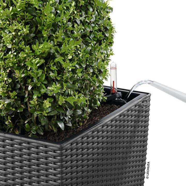 Produktbild Lechuza Cube Cottage (29.50 cm)