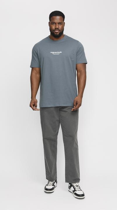 Produktbild Jack & Jones Jorvesterbro Tee Ss Crew Neck Noos Pls (6XL)