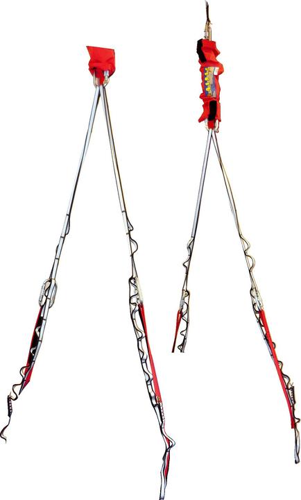 Actual product image Haidig Motorikrolle