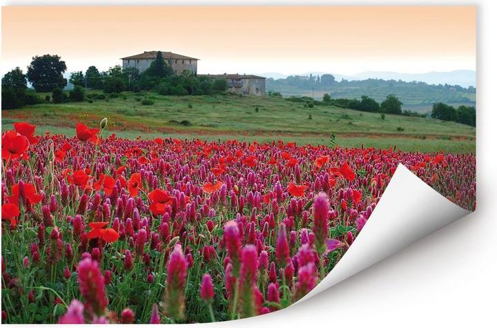 Produktbild Trenddeko Blumenwiese Toskana (45 x 30 cm)