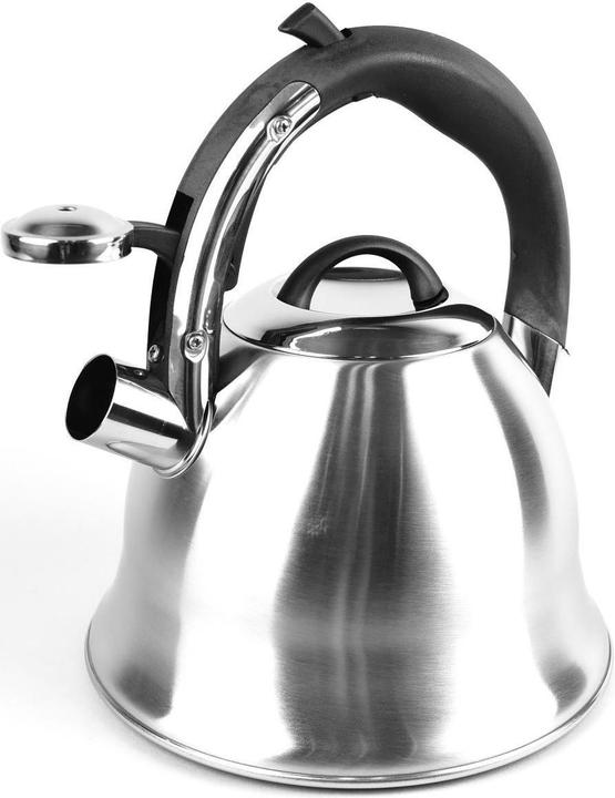 Actual product image Maestro Non-electric kettle MR-1320 Silver 3 L (3 l)