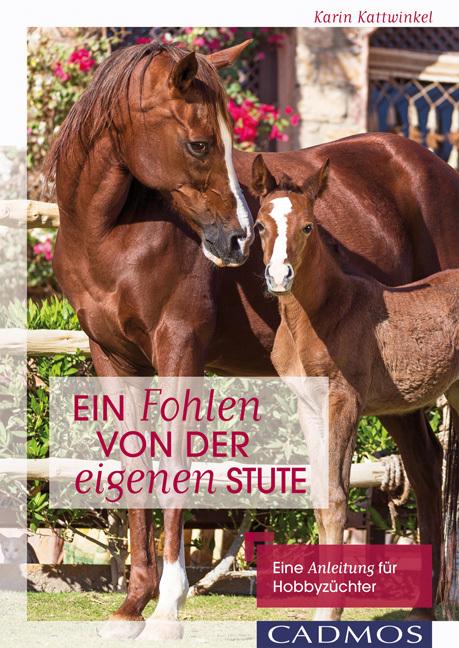 Actual product image Ein Fohlen von der eigenen Stute (German, Karin Kattwinkel, 2015)