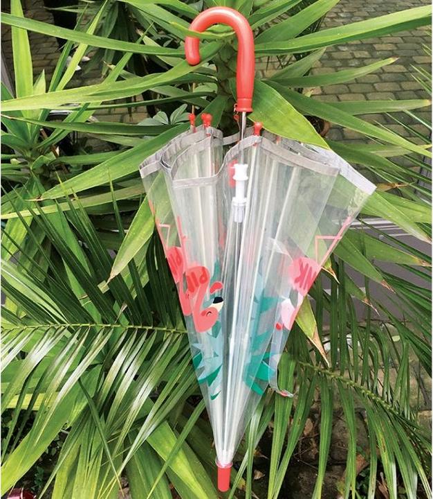 Immagine prodotto Smati Ombrello per bambini, trasparente, a campana, bordo fluorescente, fenicottero, taglia unica
