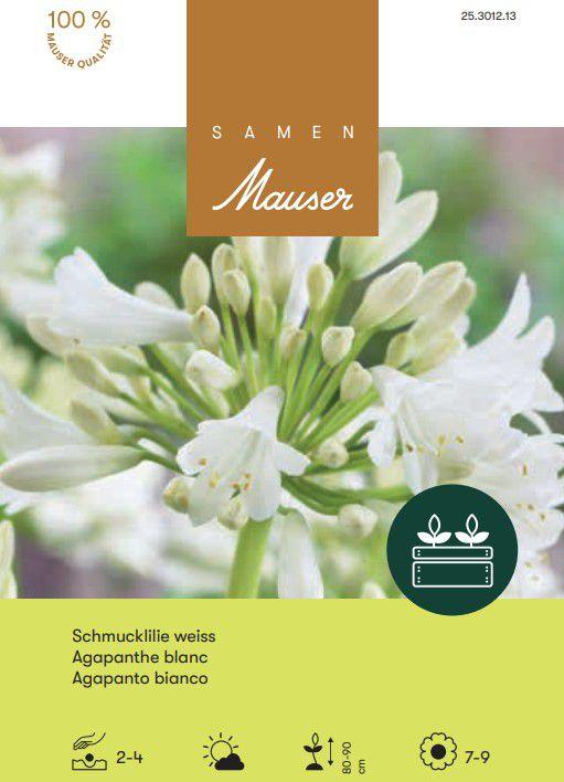 Image du produit Samen Mauser Agapanthe Lys décoratif (Graines de fleurs)