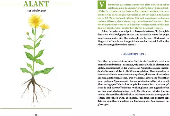 Image du produit Die Kraft der Wurzeln (Allemand, Le berceau de Miriam, 2020)