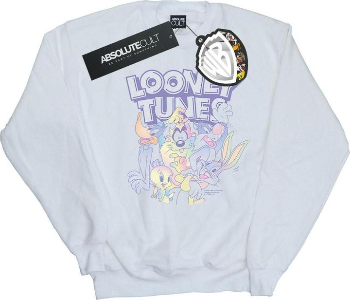 Produktbild Looney Tunes Rainbow Friends Sweatshirt (XL)