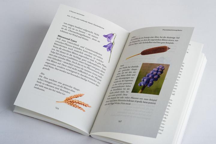 Produktbild Mein Wildkräuter-Guide (Deutsch, Manuel Larbig, 2021)