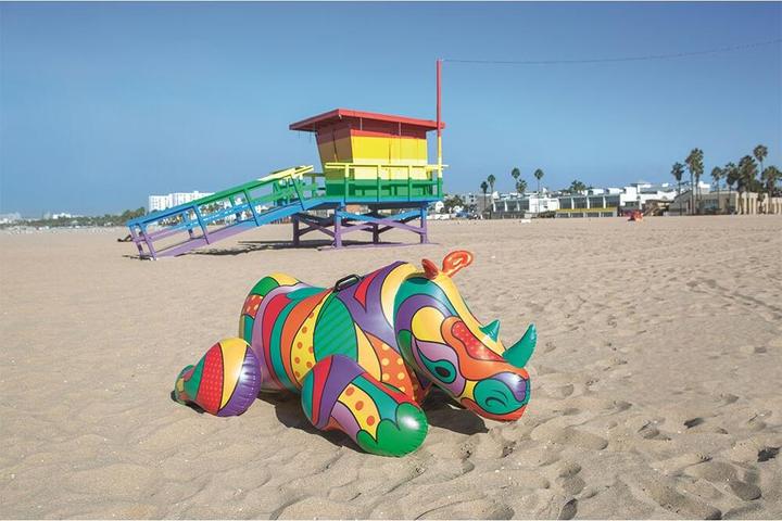 Actual product image Bestway Pop Rhino