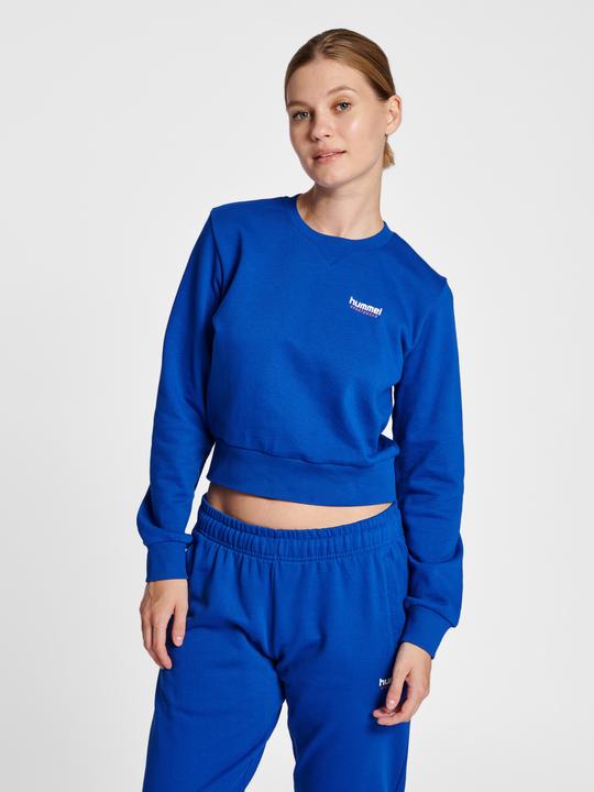 Actual product image hummel Lgc Shai Short Sweatshirt (XS)
